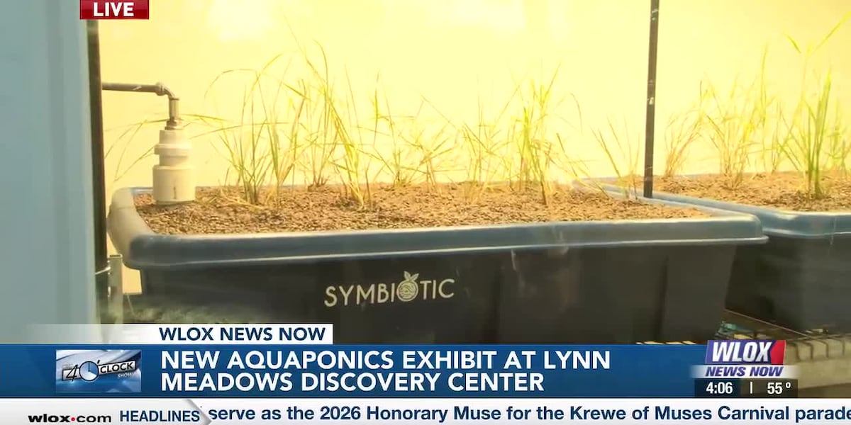 HAPPENING TUESDAY: Aquaponics Education Exhibit unveils at Lynn Meadows Discovery Center – WLOX