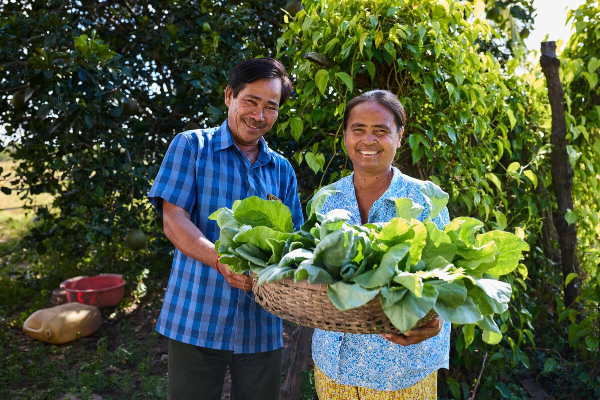 Harvesting greens—and a balanced ecosystem – Oxfam